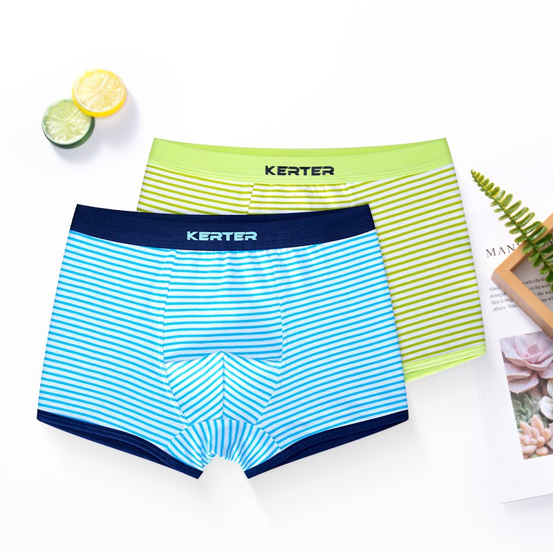 Bộ 2 Quần Lót Boxer Cotton Thời Trang Cho Bé Trai