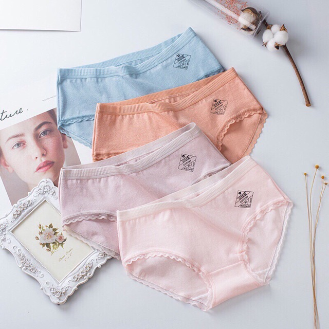 Quần chip cotton thoáng mát màu xinh