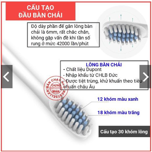 Bàn chải điện X3 cao cấp - 6 chế độ + TẶNG KÈM 4 ĐẦU BÀN CHẢI