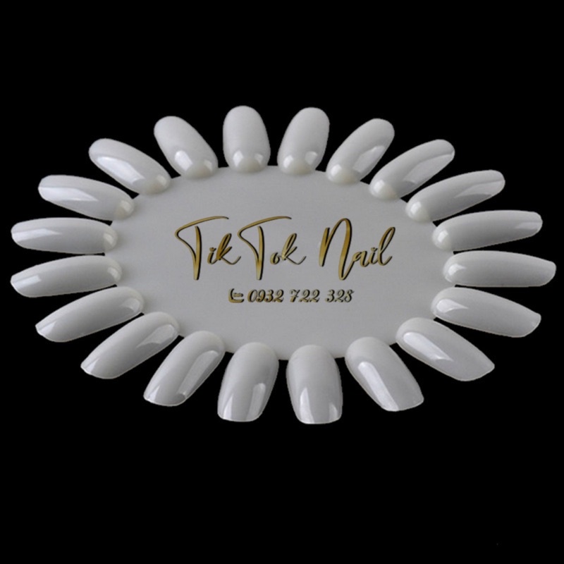 móng vỉ làm bản màu 10 vỉ vẽ chưng mẫu