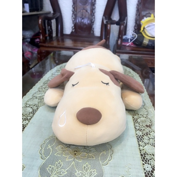 Chú cún bông ngủ chẩy nước miếng :)