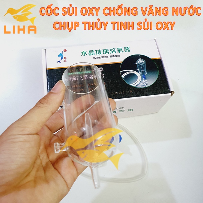 Cốc Sủi Oxy Thuỷ Tinh Chống Văng Nước - Sủi oxi Cho Bể Cá