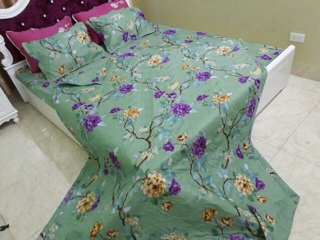 Set chăn ga gối poly