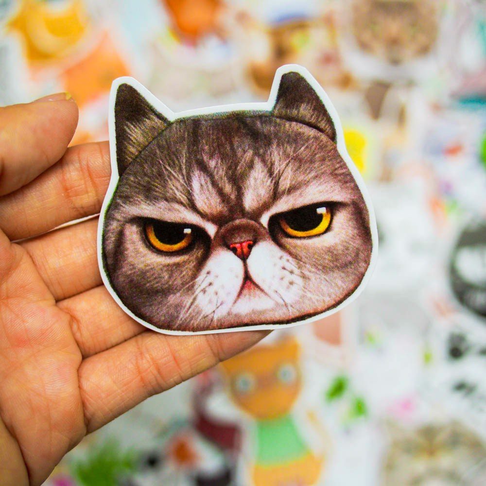 MÈO CATS - hộp set 100 sticker decal hình dán dễ thương, trang trí nón bảo hiểm , laptop, xe máy, ô tô - STICKER FACTORY