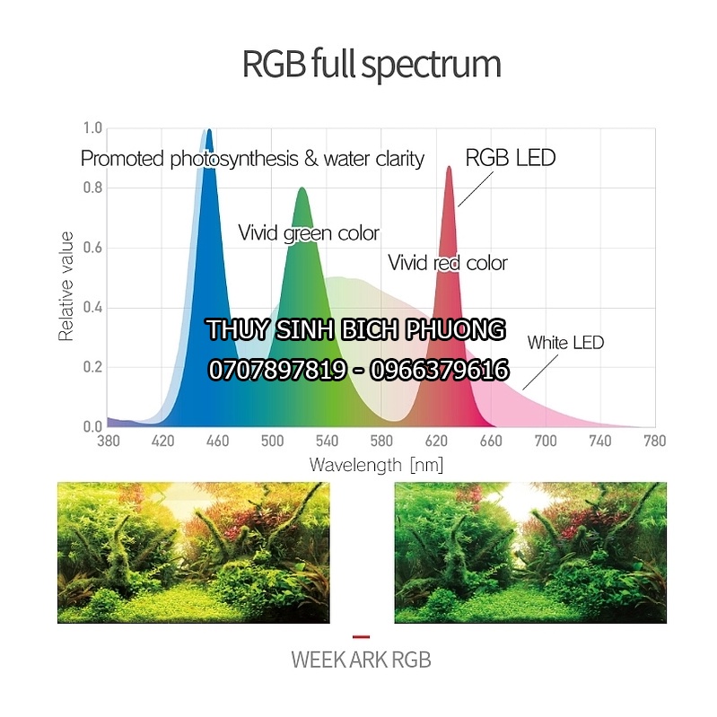 ĐÈN LED WEEK ARK RGB CAO CẤP - ĐÈN CHO HỒ CÁ THỦY SINH