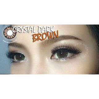 KÍNH ÁP TRÒNG MÀU NÂU - Classic 230K - CRYSTAL DARK BROWN - Nâu Đậm Pha Lê 0 Độ - Lens Hàn Quốc Chính Hãng.