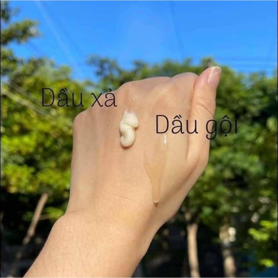 Dầu Gội ,Xả Bưởi Giảm Gãy Rụng Tóc Cocoon