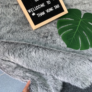 Thảm xám tro ngắn