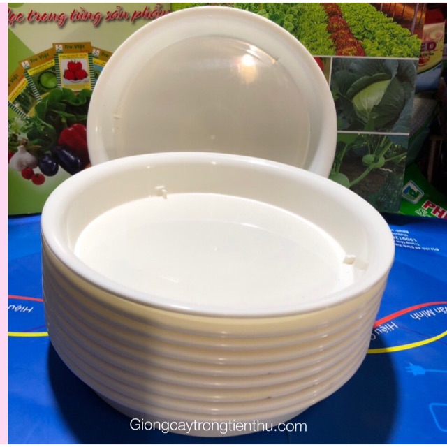 ĐĨA LÓT CHẬU CÂY CẢNH PHI 20 (10 cái)