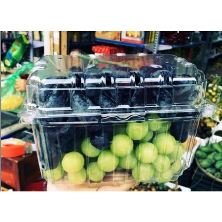 20 hộp nhựa đựng trái cây 1kg P1000b
