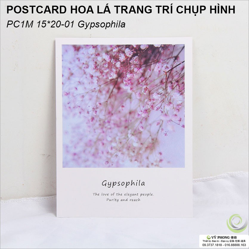 THIỆP CHỤP ẢNH POSTER 1 MẶT 15x20cm Phụ Kiện Trang Trí Chụp Ảnh Sản Phẩm PC1M15x20-01~9