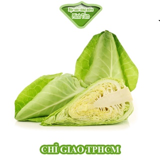 Bắp cải trái tim Đà Lạt