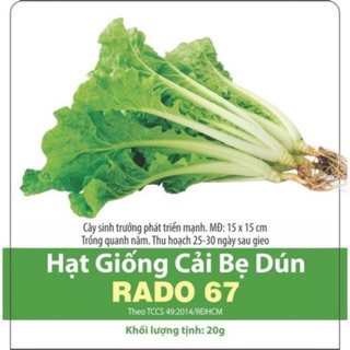 Hạt giống cải bẹ dún 67 (20gr)