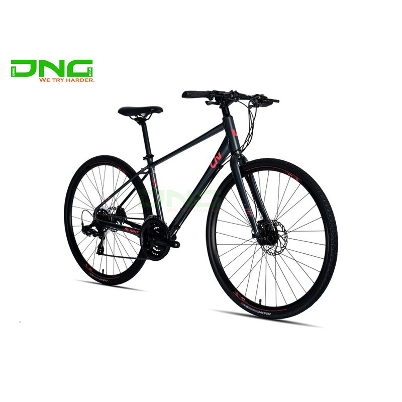 Xe Đạp nữ Touring Liv Alight 2 2020