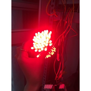 LED RUỒI JIYI 5MM 12V (BÓ 100 BÓNG)