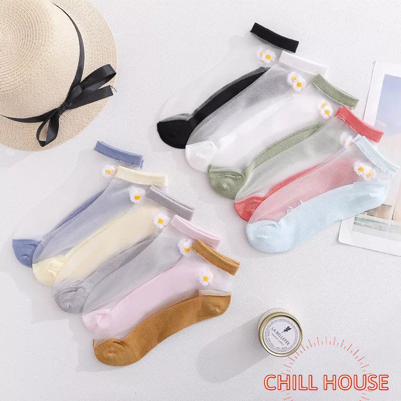 HÓT * túi 10 đôi tất lưới HOA CÚC mùa hè cho người lớn - CHILLHOUSE