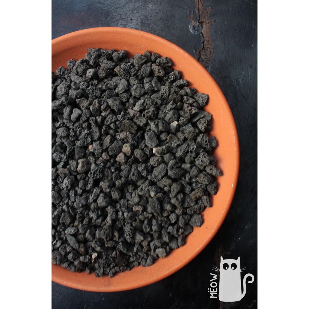 Đá nham thạch đen - NOSTIPLANT BLACK LAVA ROCK | Giá thể trồng sen đá, xương rồng, lọc nước bể cá