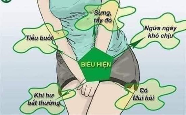 GEL TRẦU KHÔNG x10 Sạch Viêm Thơm Tho cả ngày
