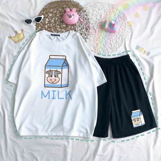 Set bộ bò sữa hình thật 100%