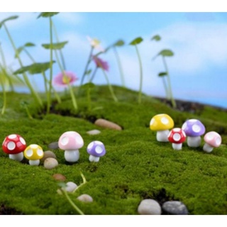Tiểu cảnh terrarium ❤️ FREESHIP ❤️ Nấm mini Tiểu cảnh sen đá sân vườn bể cá