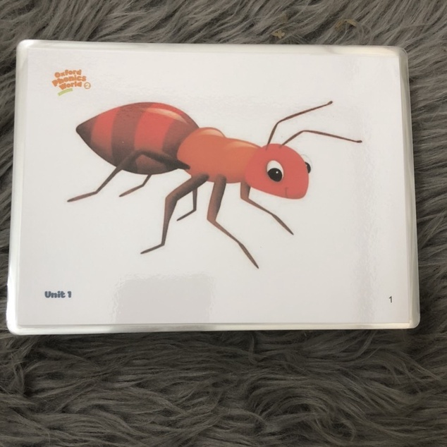 Thẻ từ vựng theo sách Oxford phonics world 2, Flashcard, Giáo cụ dạy học