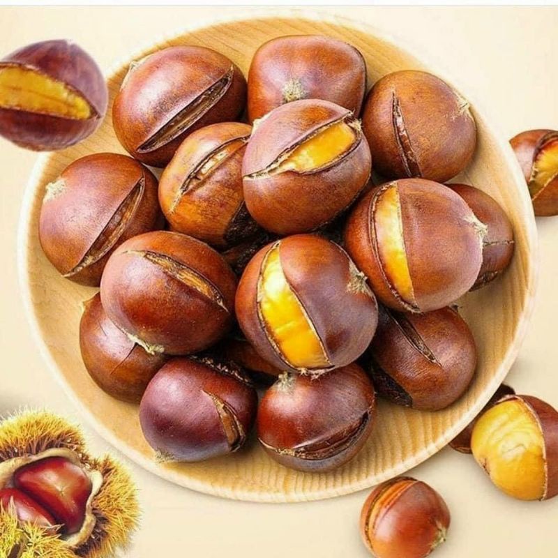 Hạt Dẻ Nhật Bản