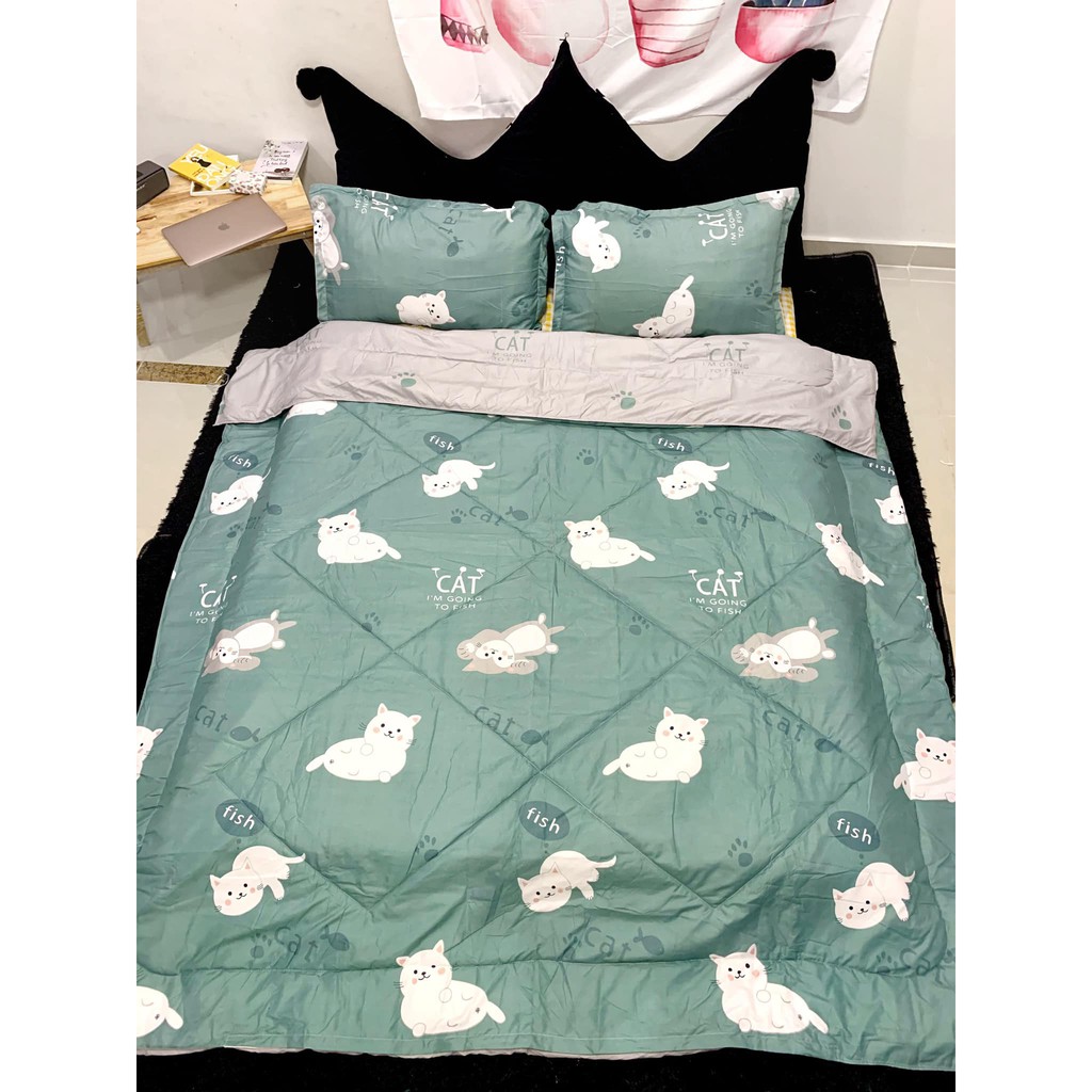 ((Hình Shop Chụp)) Trọn Bộ Drap giường Cotton CAT Trắng Phối Xám Nhạt ((m2x2m - m8x2m))