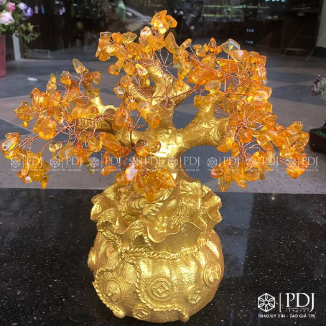 Cây lộc đá vàng