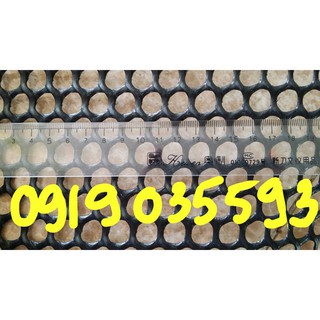 tấm lưới nhựa mắt cáo trang trí