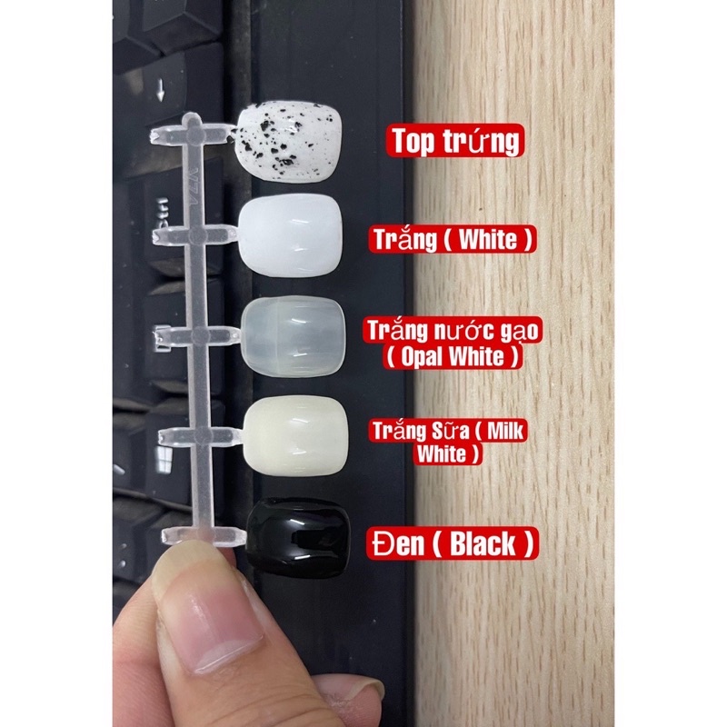 Sơn Gel B281 Chính Hãng