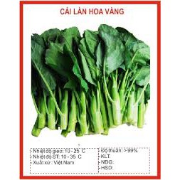 5 Gram Hạt giống rau cải làn (cải rổ) hoa vàng