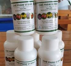 Chế Phẩm Vi Sinh Hữu Cơ P-GRO Trừ Nấm Sâu Bệnh