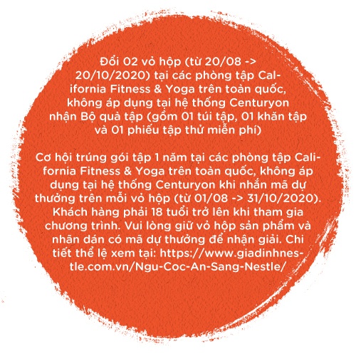Bánh Ngũ Cốc Ăn Sáng Nestlé Fitnesse Original ( 375g)