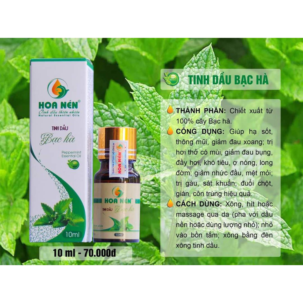 Tinh Dầu Bạc Hà HOA NÉN 100ml - Giúp Thông Mũi, Giảm Đau Bụng, Đầy Hơi, Sát Khuẩn, Đuổi Côn Trùng | KELLY BEAUTY
