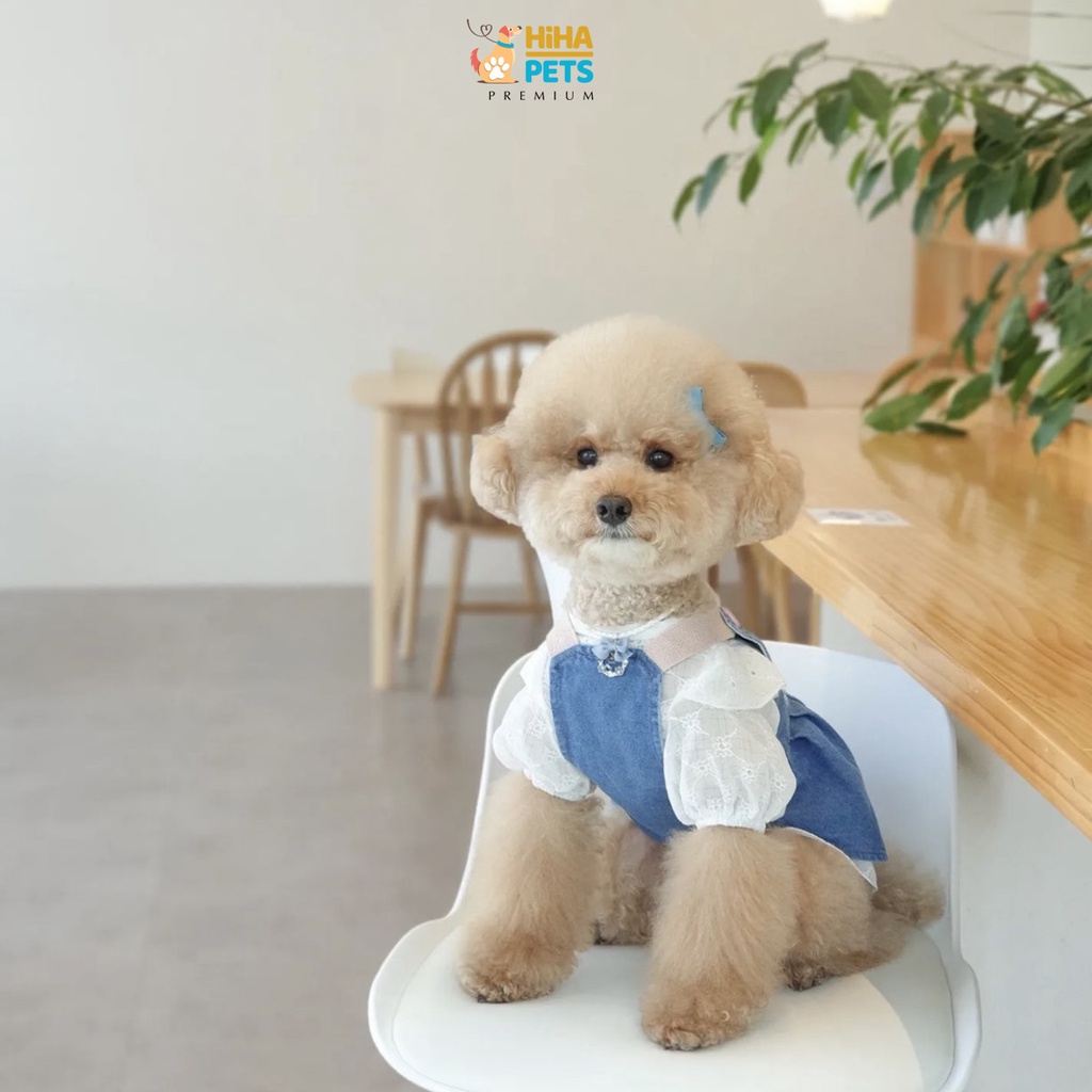 Yếm Cho Cún Mèo Chất Vải Cao Cấp Mặc Mát Mẻ Mùa Hè 2022 Quần Áo Thú Cưng Thời Trang Hàn Quốc Hihapet.