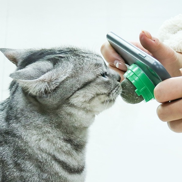 Viên Cỏ Bạc Hà Gắn Tường Giảm Stress Cho Mèo Tương tác Tự nhiên Làm sạch Răng Đồ chơi Xoay Cat Liick cho Mèo con Hydrogen065