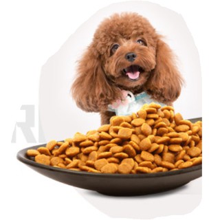 Thức ăn hạt poodle Source Love