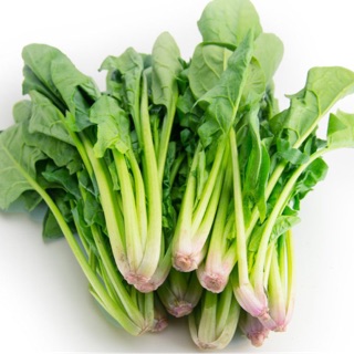 Hạt giống cải bó xôi, rau bina, rau chân vịt