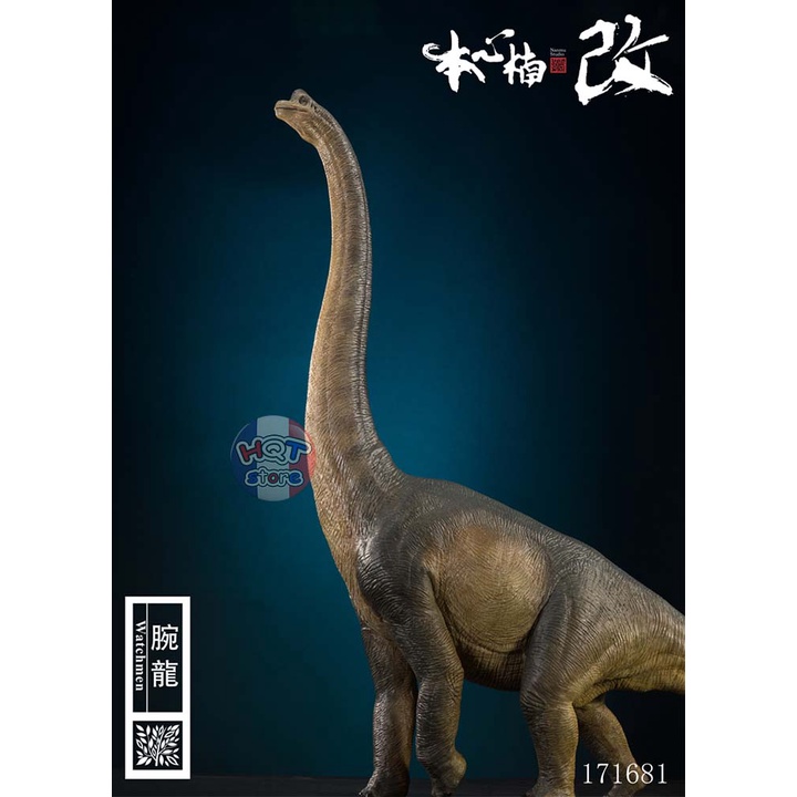 Mô hình khủng long Brachiosaurus Nanmu tỉ lệ 1/35 chính hãng (PVC)