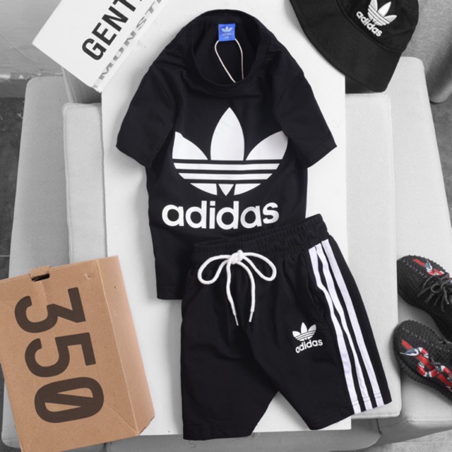 Set Das xuất