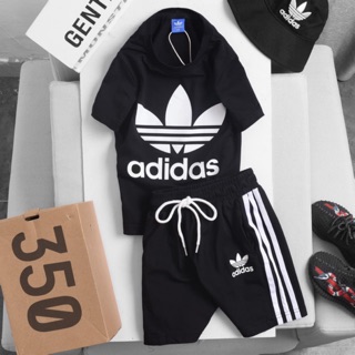 Set Das xuất