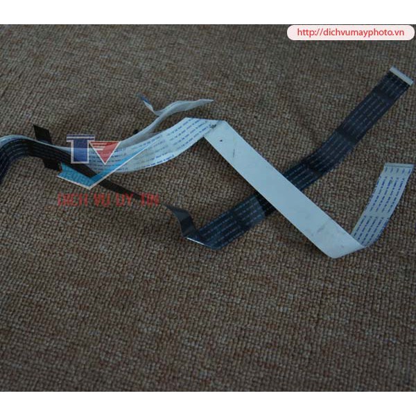 Cáp đầu in máy in phun màu Epson A4 L800 T60 L805