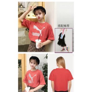 Áo thun tay lỡ free size