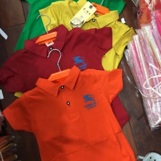 Áo phông cổ đức BURBERRY  bé trai