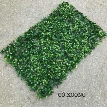 KHO MIỀN BẮC 10 TẤM CỎ TREO TƯỜNG LOẠI 1 CẢI XOONG