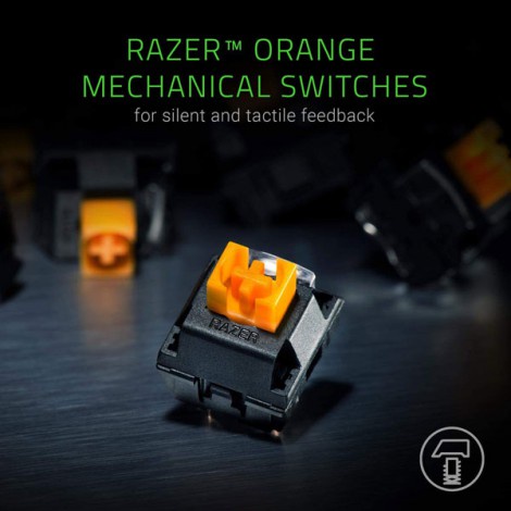Bàn phím Razer BlackWidow Lite–Silent Mechanical-US Layout-Orange Switch _Chính hãng