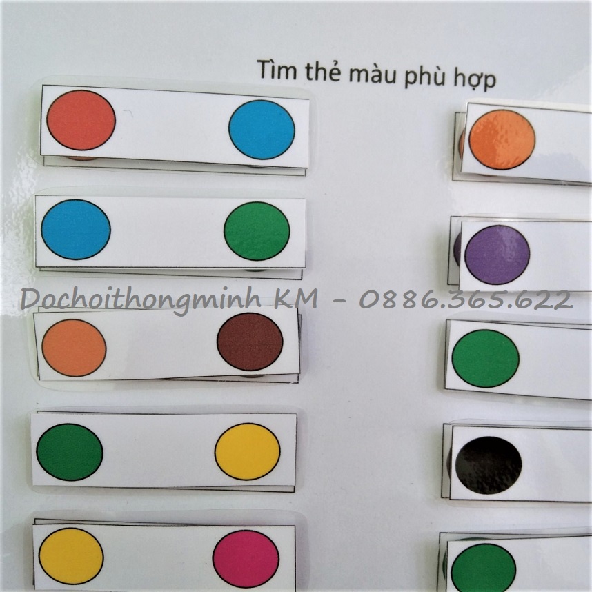 HỌC LIỆU - Phân loại màu sắc - Sắp xếp thẻ màu