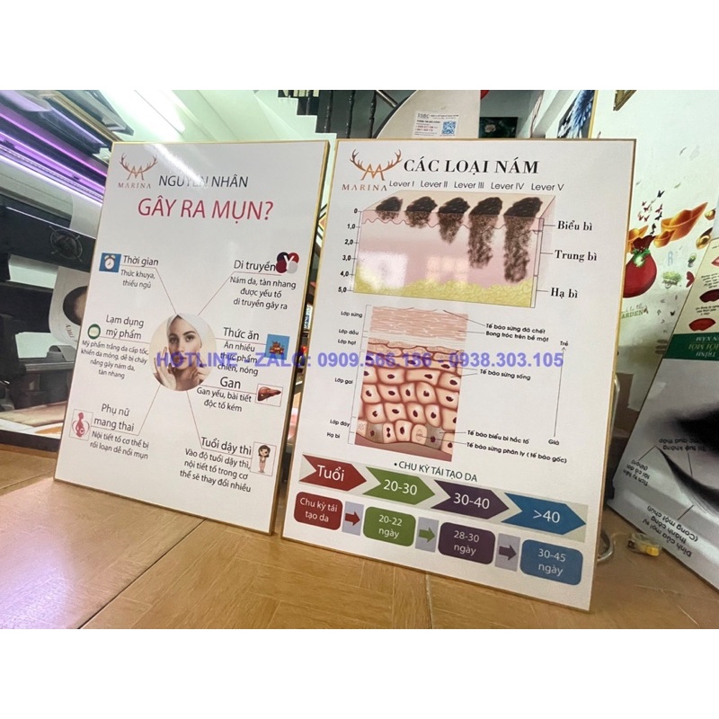 KHUNG TRANH SPA CHĂM SÓC DA SANG TRỌNG HIỆN ĐẠI CHO SPA- THẨM MỸ VIỆN