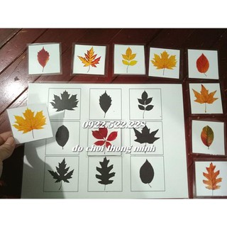 HỌC LIỆU CHO BÉ – Matching hình dạng