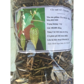 combo 300k cây thù lù - tầm bóp phơi khô
